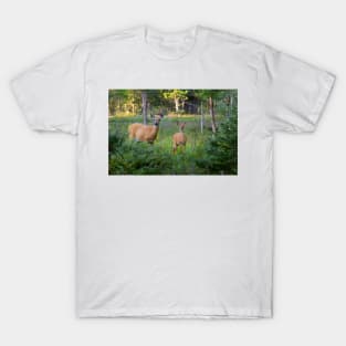 White-tailed deer and fawn T-Shirt